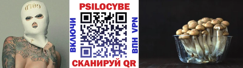 Псилоцибиновые грибы ЛСД Чухлома